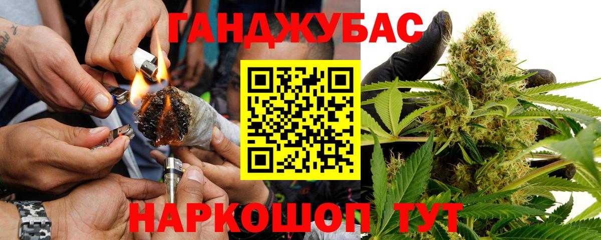 Каннабис сатива Урус-Мартан